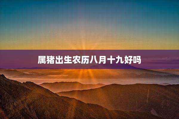 属猪出生农历八月十九好吗