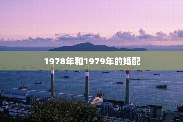 1978年和1979年的婚配