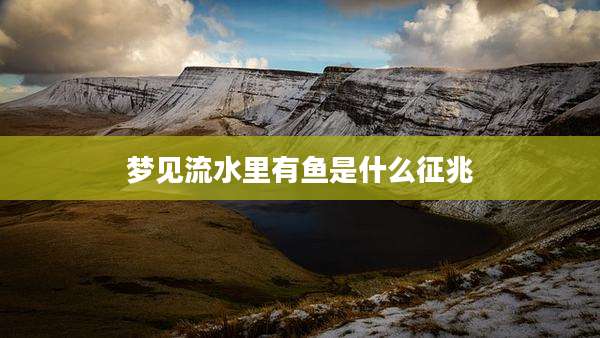 梦见流水里有鱼是什么征兆