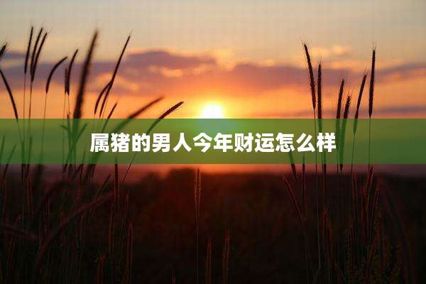 属猪的男人今年财运怎么样