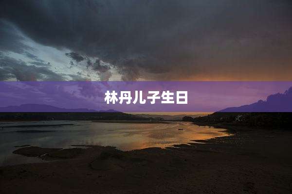 林丹儿子生日