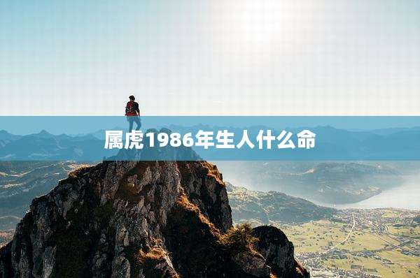 属虎1986年生人什么命