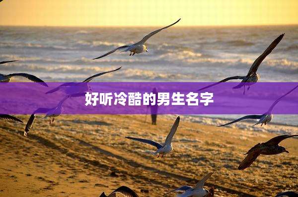 好听冷酷的男生名字