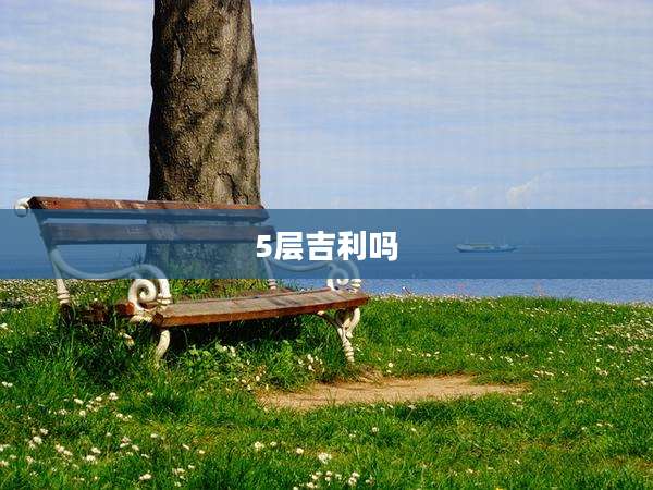 5层吉利吗