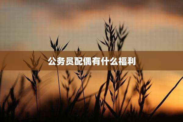 公务员配偶有什么福利