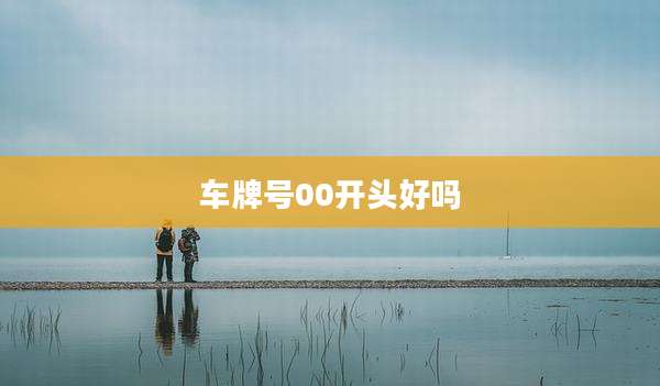 车牌号00开头好吗