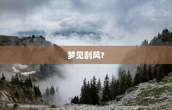 梦见刮风?