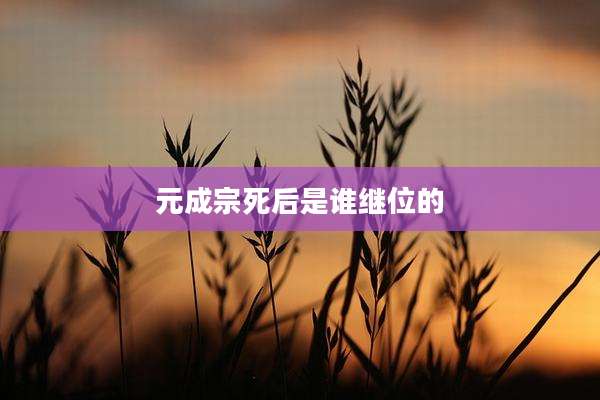 元成宗死后是谁继位的