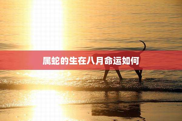 属蛇的生在八月命运如何