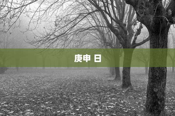 庚申 日