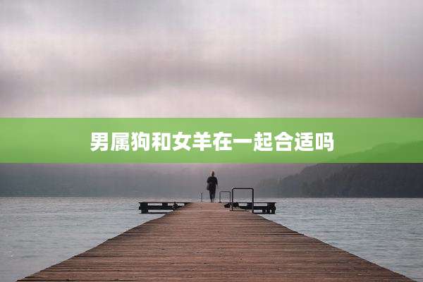 男属狗和女羊在一起合适吗