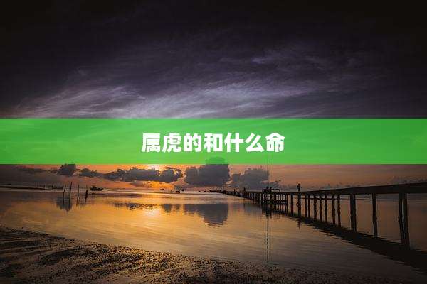 属虎的和什么命