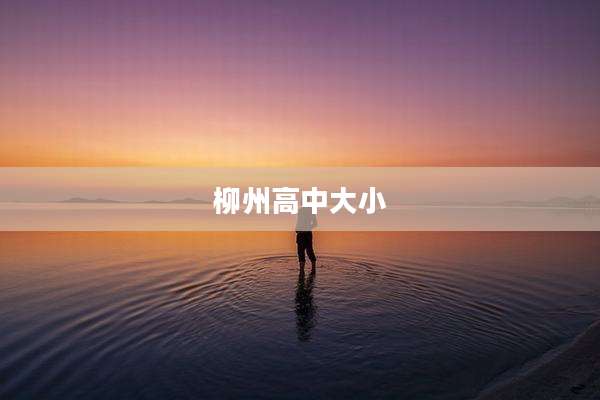 柳州高中大小