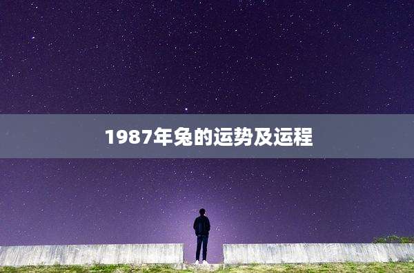 1987年兔的运势及运程