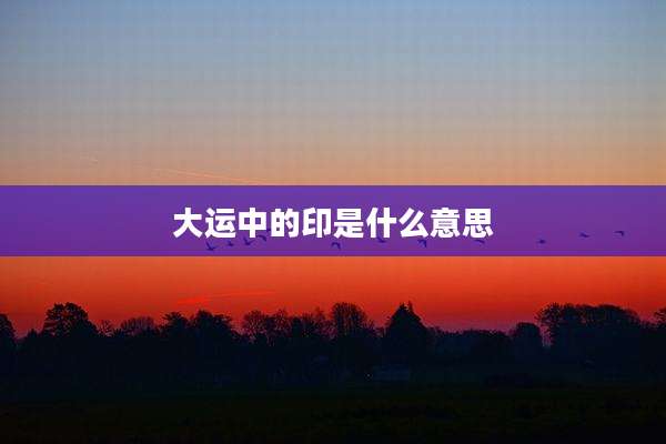 大运中的印是什么意思