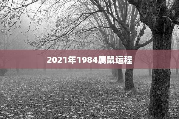 2021年1984属鼠运程