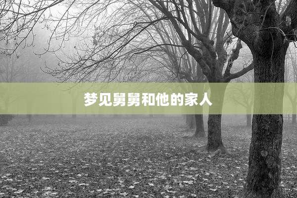 梦见舅舅和他的家人
