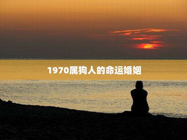 1970属狗人的命运婚姻