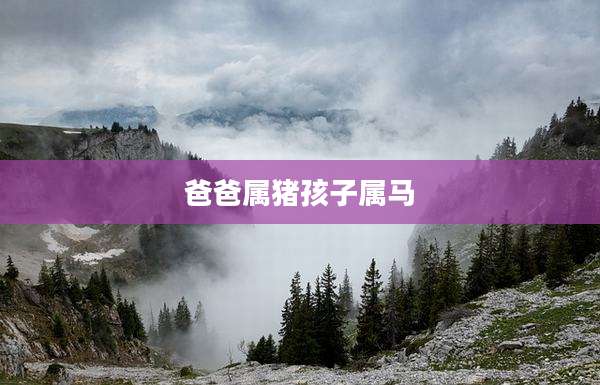 爸爸属猪孩子属马