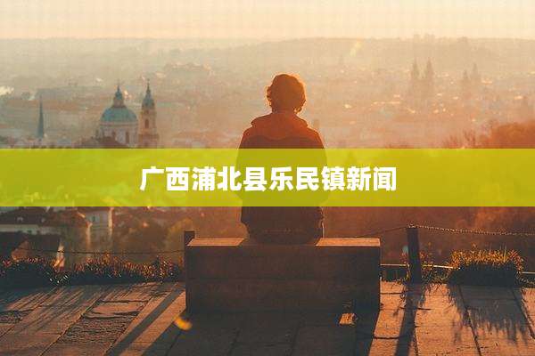 广西浦北县乐民镇新闻