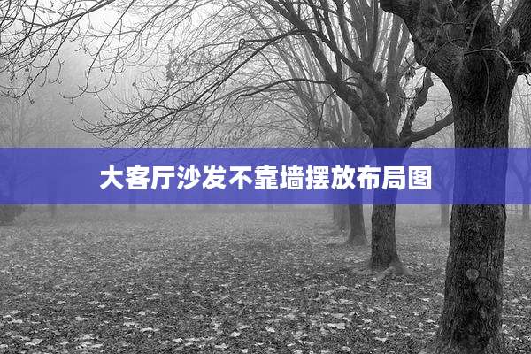 大客厅沙发不靠墙摆放布局图