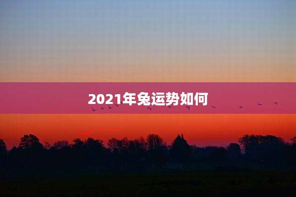 2021年兔运势如何