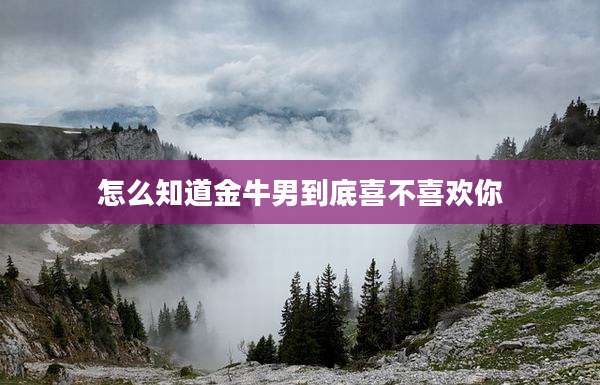 怎么知道金牛男到底喜不喜欢你
