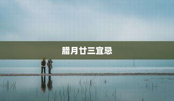 腊月廿三宜忌