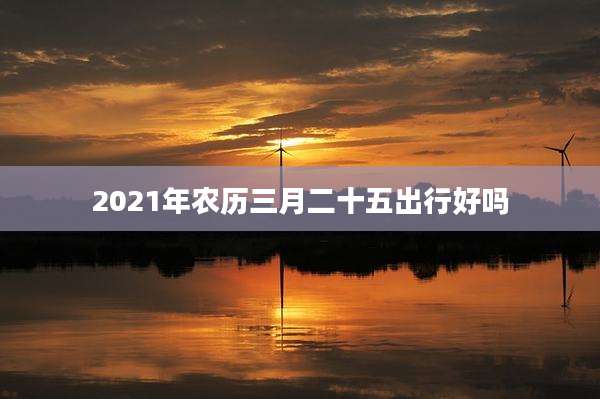 2021年农历三月二十五出行好吗
