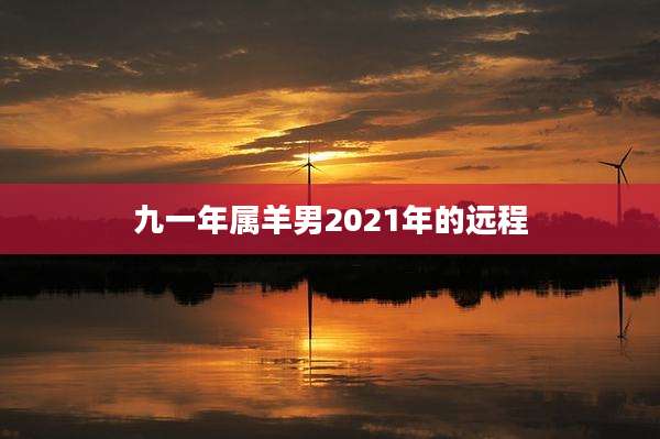 九一年属羊男2021年的远程