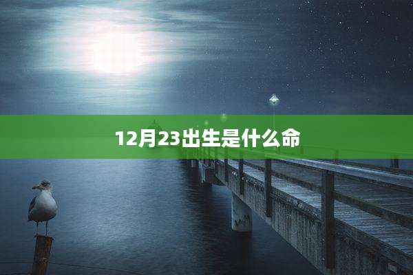 12月23出生是什么命