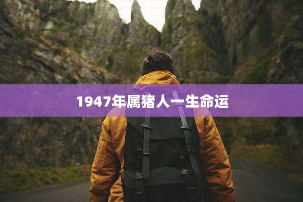 1947年属猪人一生命运