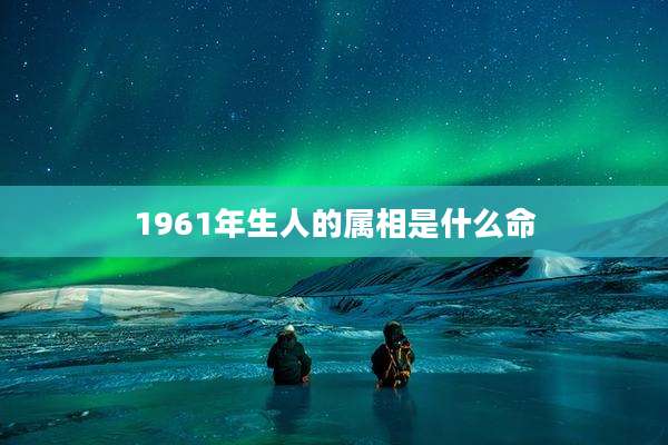 1961年生人的属相是什么命
