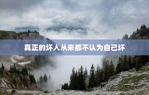 真正的坏人从来都不认为自己坏