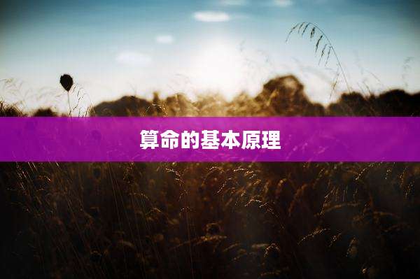 算命的基本原理