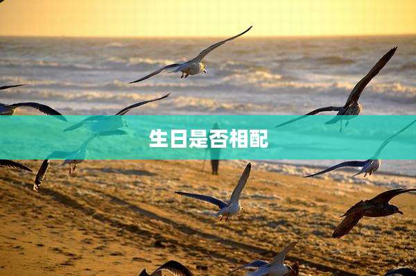 生日是否相配
