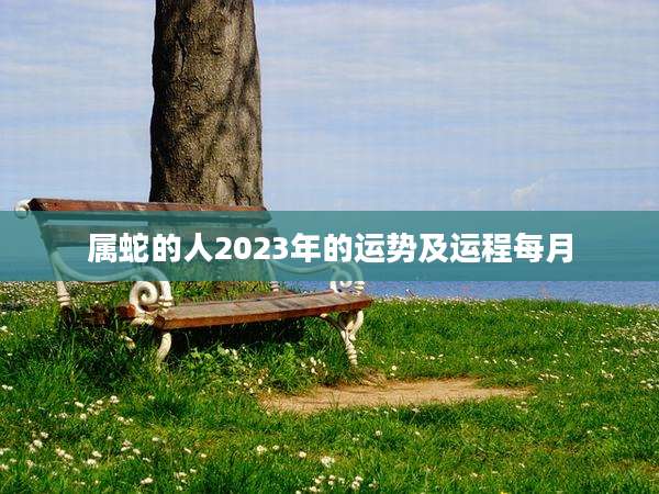 属蛇的人2023年的运势及运程每月