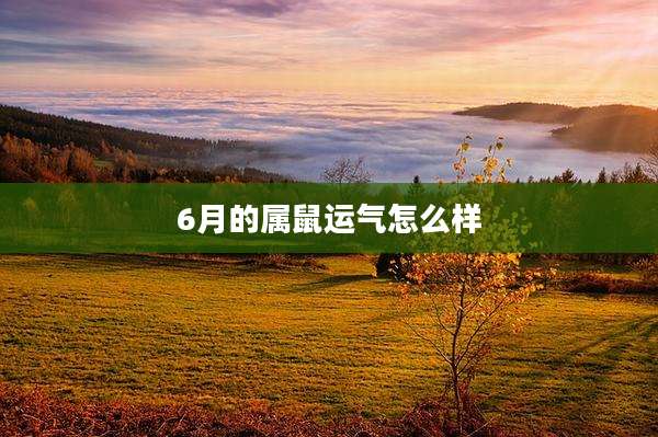 6月的属鼠运气怎么样