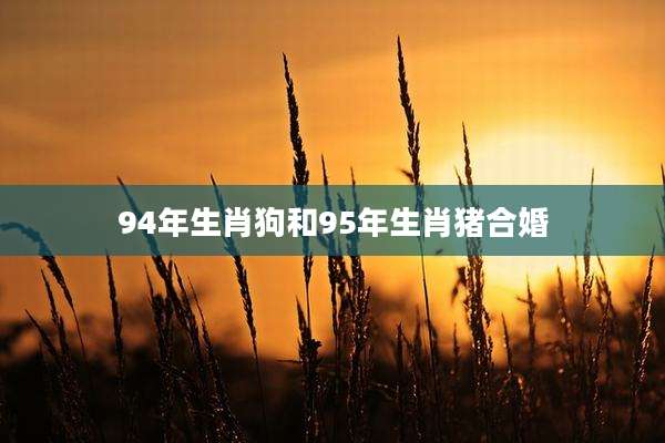 94年生肖狗和95年生肖猪合婚