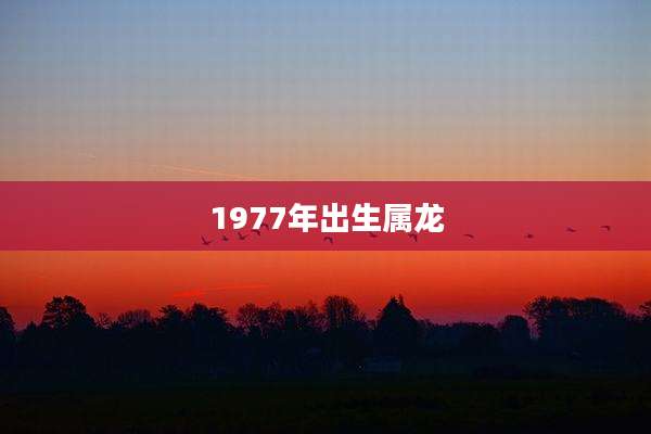 1977年出生属龙