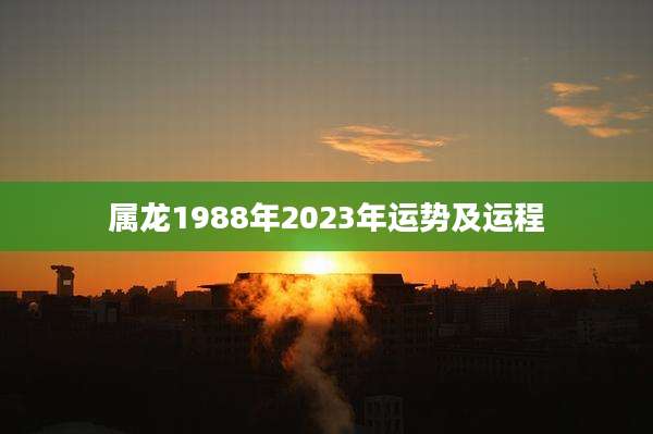 属龙1988年2023年运势及运程