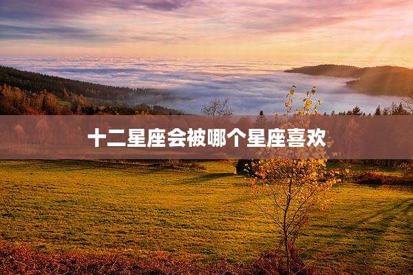 十二星座会被哪个星座喜欢