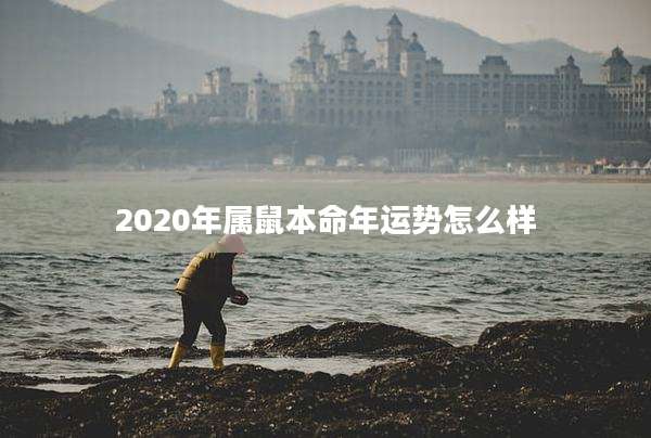 2020年属鼠本命年运势怎么样