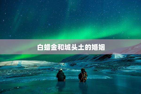 白蜡金和城头土的婚姻
