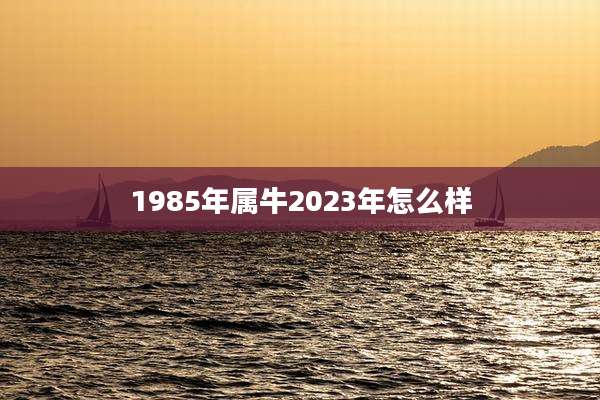 1985年属牛2023年怎么样