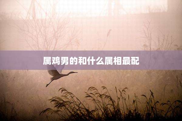 属鸡男的和什么属相最配