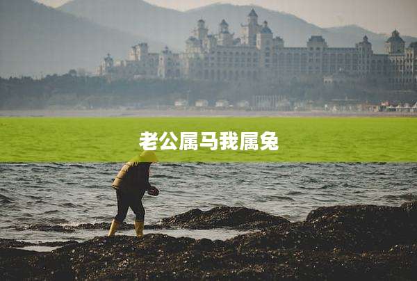 老公属马我属兔
