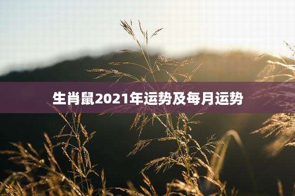 生肖鼠2021年运势及每月运势