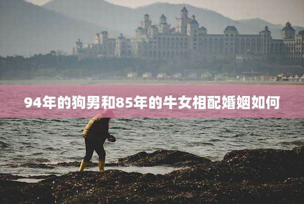 94年的狗男和85年的牛女相配婚姻如何