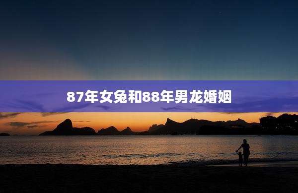 87年女兔和88年男龙婚姻